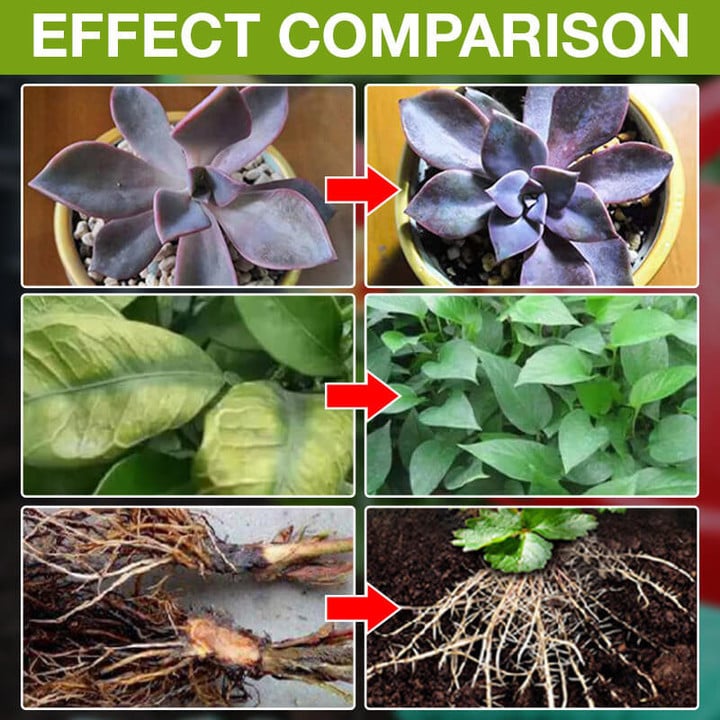 Plant Growth Enhancer Supplement(50% OFF)