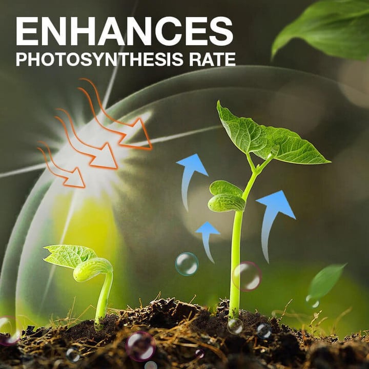 Plant Growth Enhancer Supplement(50% OFF)
