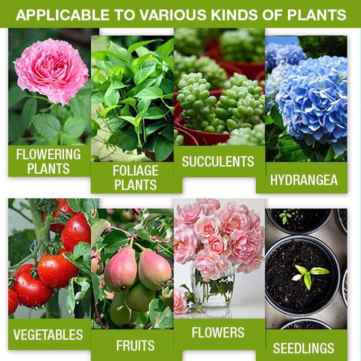 Plant Growth Enhancer Supplement(50% OFF)