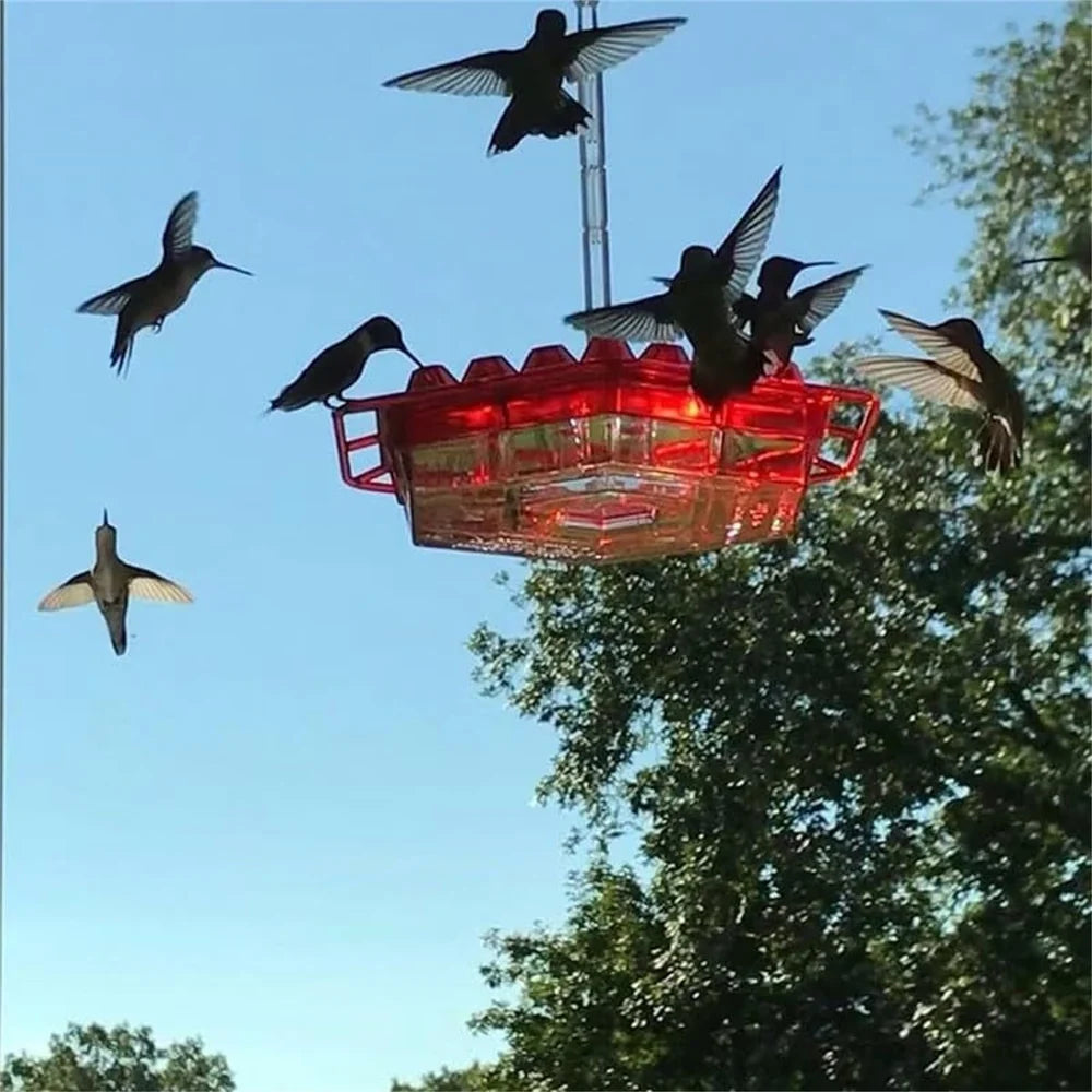 🔥Last Day 70% OFF🔥 Hanging Outdoor Hummingbird Feeder🐦
