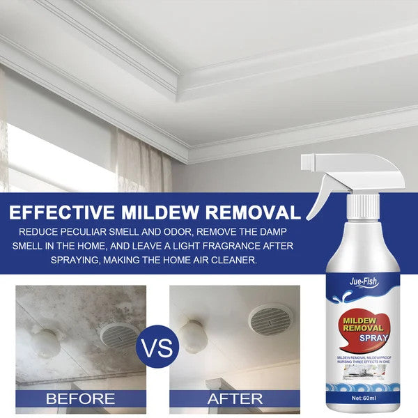 Powerful Mold Remover Spray – Destroys Mold & Stops It from Coming Back 🦠