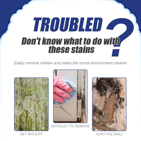Powerful Mold Remover Spray – Destroys Mold & Stops It from Coming Back 🦠