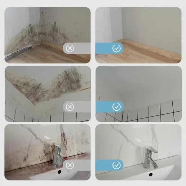 Powerful Mold Remover Spray – Destroys Mold & Stops It from Coming Back 🦠
